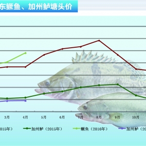 �����|����һ��������������ϝq������ˮ�aǰ�ء�2016��5�¿��Ј�څ��