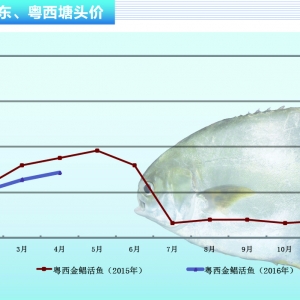 ���K����Ҏ��؛Դ�oȱ �r�����ϝq������ˮ�aǰ�ء�2016��5�¿��Ј�څ��