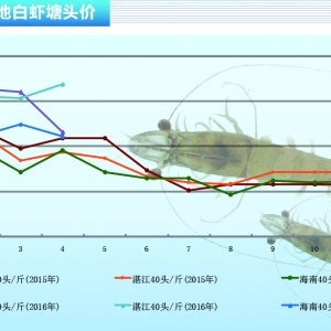 ���r�����M����ƽ�� �����r�rڅ���»�������ˮ�aǰ�ء�2016��5�¿��Ј�څ��