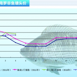 �_���~��������N�oȱ �~�r���rڅ�� ������ˮ�aǰ�ء�2016��5�¿��Ј�څ��