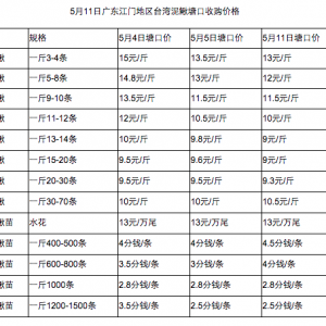 5��11���_�����q���l�r��