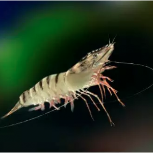 �_���߹����r�Bֳ���g��R����һ�����գ�