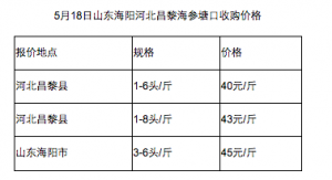 5��18������ُ���l�r��