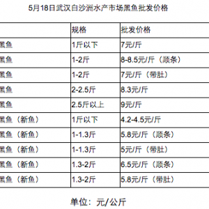 5��18�պ��~���l�r��