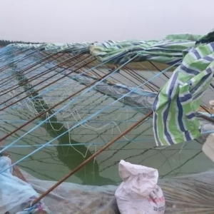 ���r�Bֳ����Ѷ����A�Ϝp�a���A���A���������f