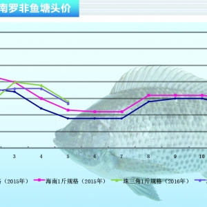 �_���~�����N����  �~�r�^�m�»�������ˮ�aǰ�ء�2016��6�¿��Ј�څ��