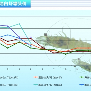 ���r�����r������  �����r�r�����á�����ˮ�aǰ�ء�2016��6�¿��Ј�څ��