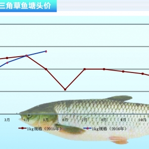 ���~����������������q�����@������ˮ�aǰ�ء�2016��6�¿��Ј�څ��