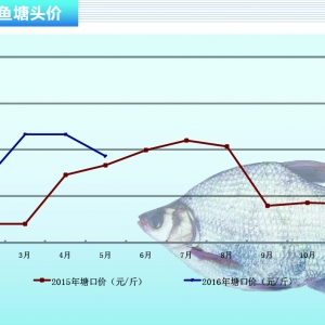 ���~���~�r����m(x��)�߸ߡ�����ˮ�aǰ�ء�2016��6�¿��Ј�څ��