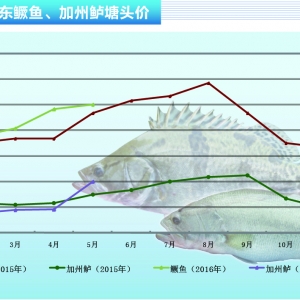 �����|���r�������ϝq������ˮ�aǰ�ء�2016��6�¿��Ј�څ��