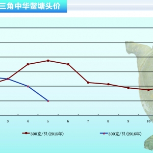 ���~��5�r��̽�׻���������ˮ�aǰ�ء�2016��6�¿��Ј�څ��