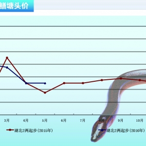 �S�X���Ј��������@ �r����������������ˮ�aǰ�ء�2016��6�¿��Ј�څ��