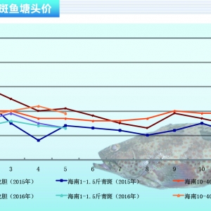 ʯ���~�����~�c��N�r���R��������ˮ�aǰ�ء�2016��6�¿��Ј�څ��