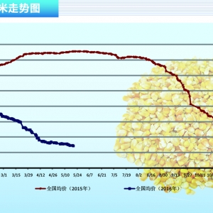 ���ף������N���䌍  �Ј�ꐼZ�������ӡ�����ˮ�aǰ�ء�2016��6�¿��Ј�څ��