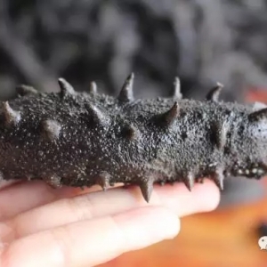 ��ҕ��������ԣ��l������ϼ�ֺ����a�I��