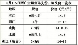 �ݝO�ڃȽ��K�~�r���q�������Bֳ����ʾ��������