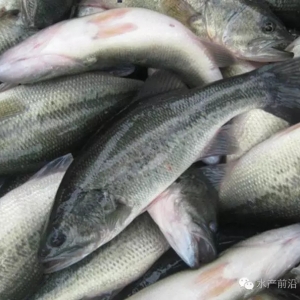 ��������|����Ј��ܷ�ȫ���_����