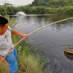 �V�����r��ʒ�l��u���K���Bֳ�����л���