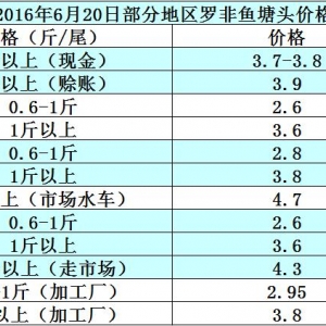 �r���܈󣺚�ظ���ʹ�_���~�l��   �����~�rڅ������