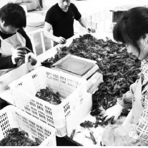 ����С���r�r������������������4000Ԫ