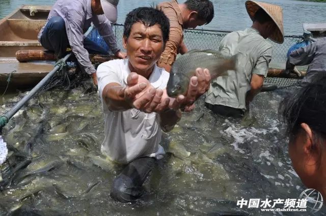 �A�|�a�~�w��Ѫ�߰l������ˮ�~�����������