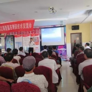 �V���h���B(y��ng)ֳ����θ����B(y��ng)�������r��