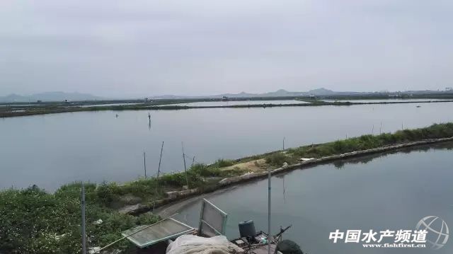 �߹����r����������B���Bֳ�͹���