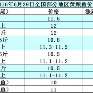 2016��6��29���S��~�����~���a�~��߅�r