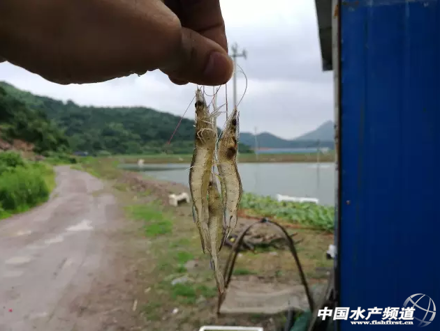 һ�W(w��ng)��Mȫ��11���B(y��ng)�rʡ��6�·݄ӑB(t��i)�R��