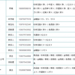 ʯ�����飺������đ��Ɍ��������������y�u�r��