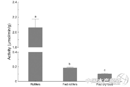 ������đʯ���~��������ơ� �������������֣�