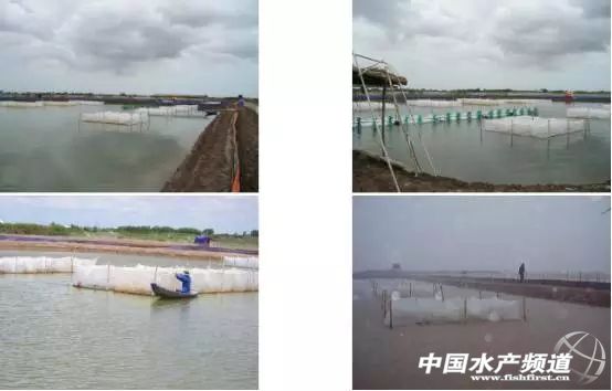 3�����L��18�^���B(y��ng)ֳ�ɹ��ʸ��_(d��)90%������Ī�����뿿�@�M(j��n)܊�Ї��߹�(ji��)���r�Ј�