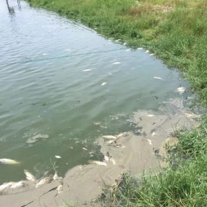 һҹ�g�pʧ��200���f(w��n)Ԫ������?c��)�����ʲô׃�ʣ? class=