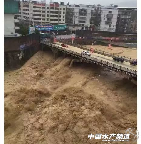 ���Ხ�ء���(y��n)�؃�(n��i)�� �|��6ʡ���ش����A(y��)��