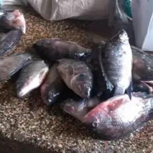 �����ش�ʹ�����_���~�r�񿴝q