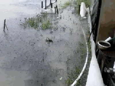 ꐲ��������ꡢ���(z��i)���B(y��ng)ֳ�����c�~�ԓ�@���o(h��)��