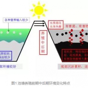 �ߜؼ���(ji��)ץס�@��(g��) ��ˮ��Ч�°빦��