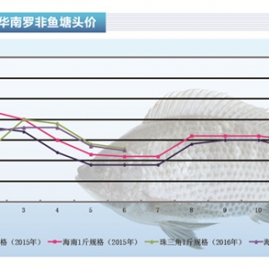 �_���~���ӹ��S��ُ���s�p �~�r�����y�q������ˮ�aǰ�ء�2016��7�¿��Ј�څ��