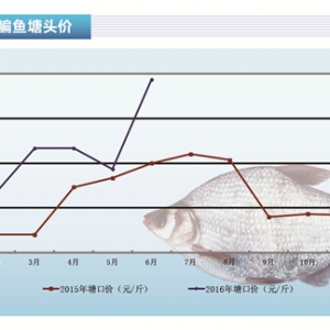 ���~���Ѓr�o�~ ��ˮ�~����ǰ���С�����ˮ�aǰ�ء�2016��7�¿��Ј�څ��