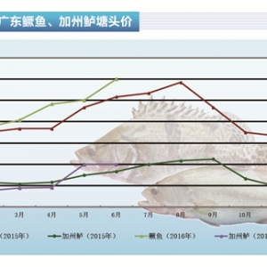 �Z�~��7����Ѯ�~�r��ӭ�����@�ϝq������ˮ�aǰ�ء�2016��7�¿��Ј�څ��