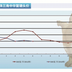 ���~��6�����鮐�����塪����ˮ�aǰ�ء�2016��7�¿��Ј�څ��