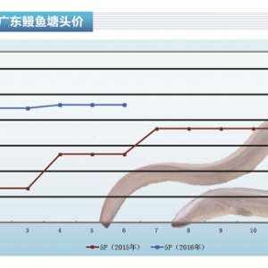 ���~���_(t��i)���a(ch��n)���~�r(ji��)����������������ˮ�a(ch��n)ǰ�ء�2016��7�¿��Ј�(ch��ng)څ��(sh��)