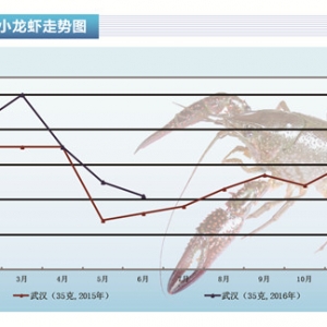 С���r���M���Ј��N������ �r�����{������ˮ�aǰ�ء�2016��7�¿��Ј�څ��