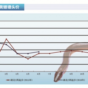 �S�X�����~�r�������� ��N�r���m�߸ߡ�����ˮ�aǰ�ء�2016��7�¿��Ј�څ��