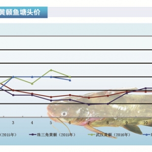 �S��~��7���S��~����څƽ��������ˮ�aǰ�ء�2016��7�¿��Ј�څ��