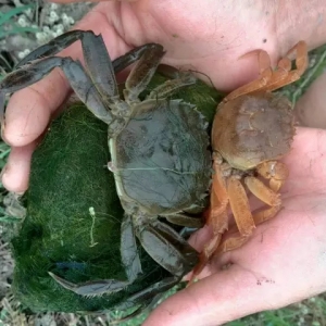 �ߜ��꼾��з�����Bֳ�����փ���ȫ��λ׌��зȫ�ٛ_������