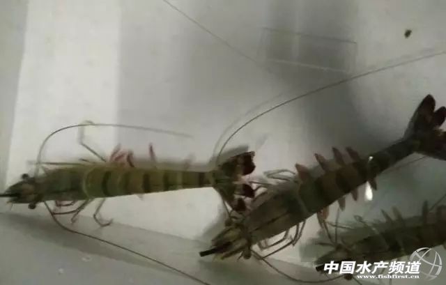 �߹�(ji��)���r�ɻ���L(f��ng)�U�ͣ�2.8��ӯ��21�f