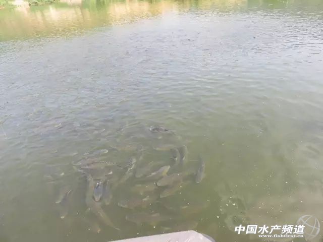 �������~���B(y��ng)���Ͷι���Ĵ��`�^(q��)�����M(j��n)���h