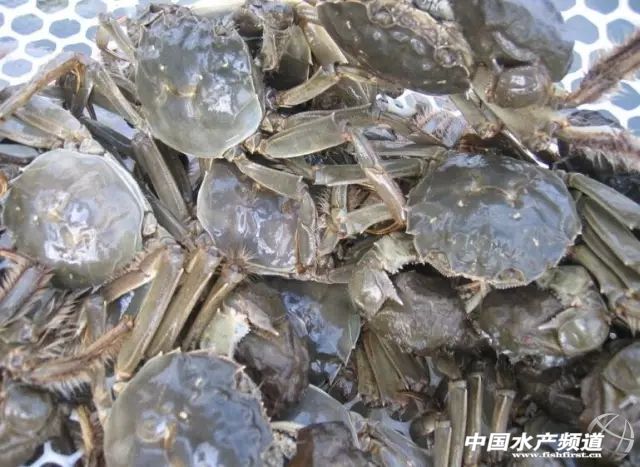 ������ú�з������������зƷ�|(zh��)