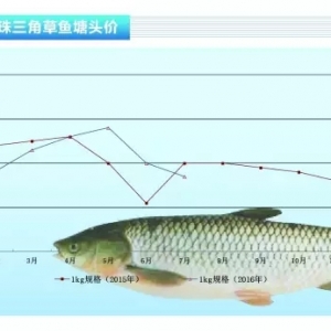 8�²��~�����~���a�~�����|�r��څ��